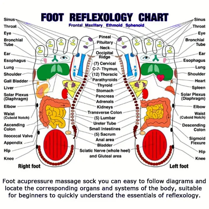 The Original Foot Reflexology Socks with Massage Stick (Approved by Indian Medical Society)