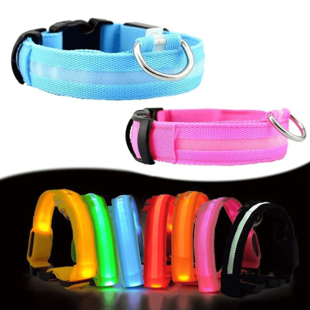 Rare LED Dog Collar