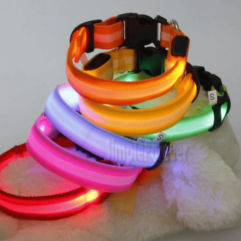 Rare LED Dog Collar